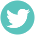 “Twitter”